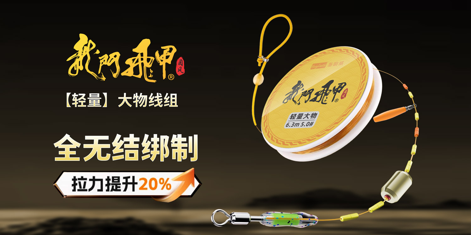 龙门飞甲